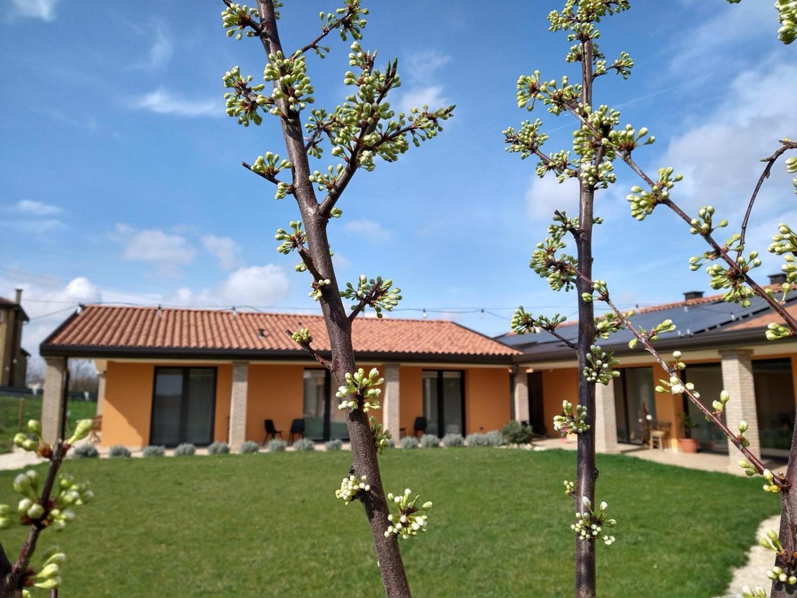 Agriturismo Verdecielo Padova Pokoj fotografie